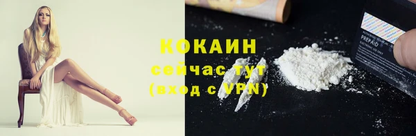 крисы Горнозаводск